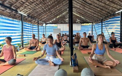 Discovering the Path to Enlightenment: Yoga Teacher Certification Courses in India